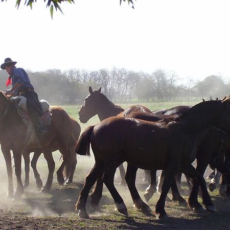 Gasthaus Estancia Don Silvano Diego Gaynor Exterior foto