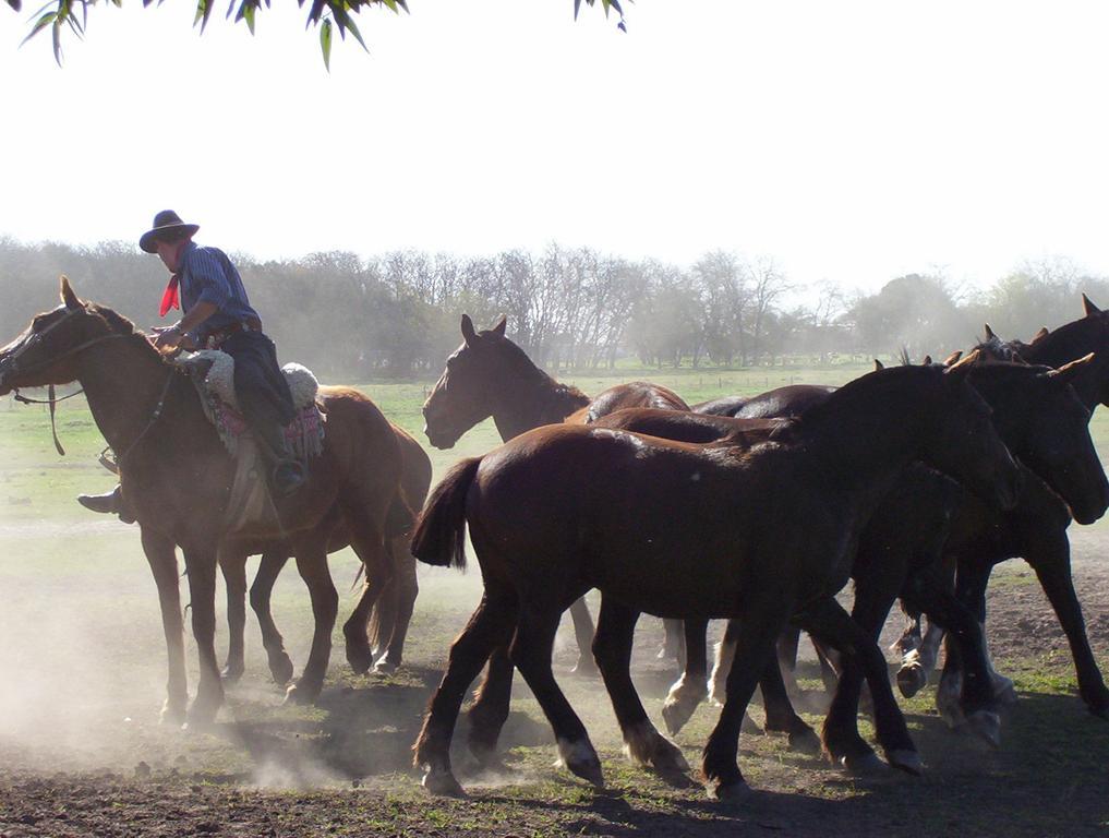 Gasthaus Estancia Don Silvano Diego Gaynor Exterior foto