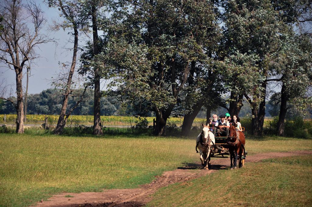 Gasthaus Estancia Don Silvano Diego Gaynor Exterior foto